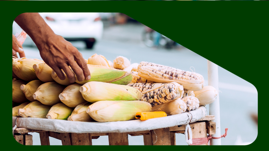 vendedor ambulante de milho na rua