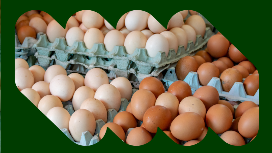 foto com caixas de ovos