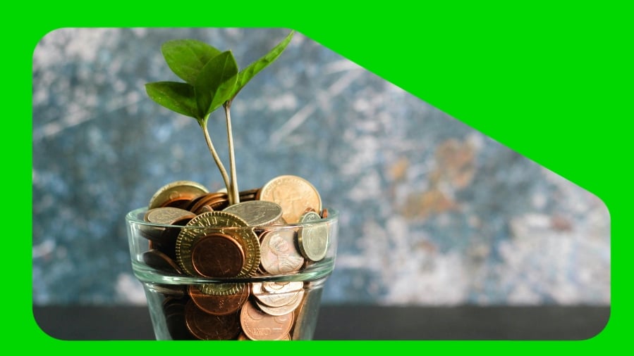 Vaso de planta cheio de moedas