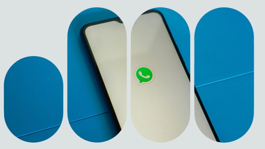 ceular no whatsapp business